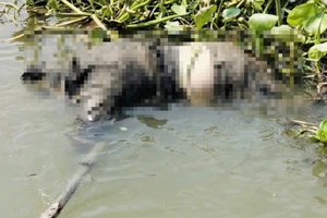 Nam thanh niên gọi điện về gia đình sau đó mất liên lạc, được phát hiện tử vong dưới sông Tắc