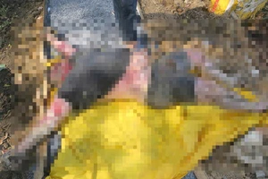 Phát hiện thi thể nam giới ven sông Giồng Ông Tố