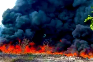 Cháy lớn bãi cỏ gần khu nghĩa địa, khói bốc cao hàng chục mét