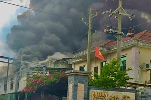 TP.HCM: Cháy lớn tại công ty trong KCN Đại Đăng