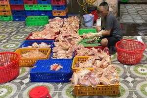 TP.HCM: Bắt quả tang cơ sở giết mổ gà trái phép, tiêu huỷ gần 1 tấn gà