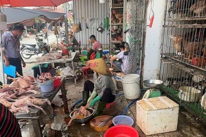 TP.HCM: Kiểm tra 12 điểm giết mổ gia cầm tự phát tại phường Dĩ An