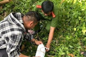 Kiểm tra 2 trang trại heo, phát hiện nước thải có chỉ số ô nhiễm vượt chuẩn hơn 31 lần