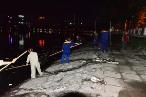 Hà Nội vớt nhiều tấn cá chết trong đêm