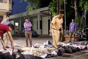 Vận chuyển hơn 500kg gỗ sưa, bị lực lượng chức năng bắt