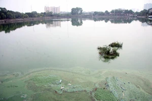 Hồ nước bốc mùi hôi thối, người dân 'cố thủ' trong nhà