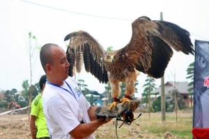 Hào hứng với hội thi chim ở Hà Nội