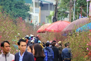 Chùm ảnh: Không khí Tết ngập tràn phố phường Hà Nội