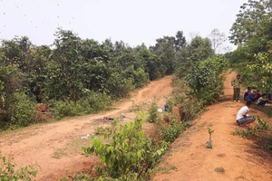 Truy nã kẻ sát hại cô giáo mầm non tương lai