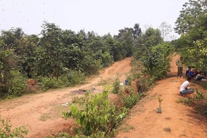 Vụ cô giáo tương lai bị sát hại: Xem xét đình chỉ vụ án