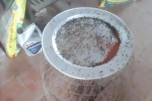 Di dời dân trong vùng 'đong ruồi bằng kg'