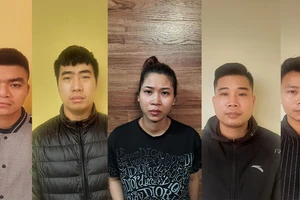 Nhóm buôn lan đột biến ‘mở tiệc ma túy’ trong khách sạn