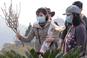 Tảo mộ cuối năm, nét đẹp truyền thống lâu đời của người Việt