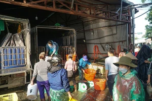 Cá chép đỏ đắt gấp 10 lần năm ngoái nhưng vẫn ‘cháy hàng’ 