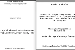 Dự án đạt giải khoa học kỹ thuật của học sinh trung học giống luận văn thạc sĩ?