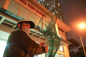 Niềm vui của những người đi bắt chó thả rông