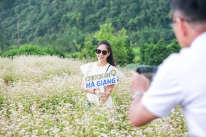 Đẹp ngỡ ngàng với cánh đồng hoa tam giác mạch trái mùa ở Hà Giang