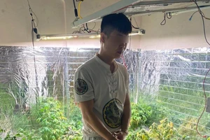 Quảng Ninh: Bắt khẩn cấp nghi phạm sản xuất chất ma túy