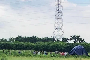 2 người bị sét đánh tử vong khi đang đi cấy