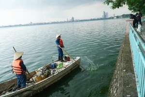 Hà Nội: Cá chết nổi lềnh bềnh trên mặt hồ Tây