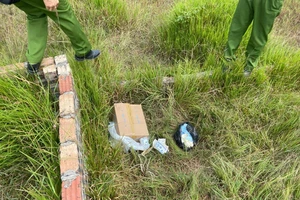 Điều tra thi thể trẻ sơ sinh bị bỏ ở nghĩa trang 