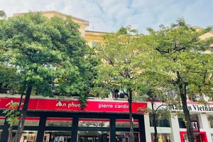 Hà Nội: Không phải lần đầu đường Nguyễn Chí Thanh thay thế cây xanh