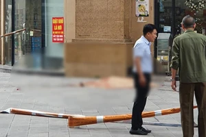Nghi rơi từ tầng 24, người đàn ông ở khu đô thị Kim Văn - Kim Lũ tử vong 