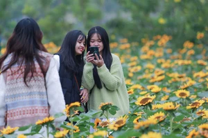 Hà Nội: Hàng nghìn người đổ về Lễ hội hoa Mê Linh năm 2022 