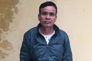 Bị khởi tố vì mua dâm thiếu nữ 17 tuổi dẫn đến mang bầu