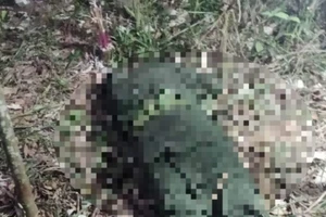 Chiến sĩ cảnh sát cơ động tử vong sau 10 ngày nhập ngũ