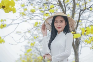 Giới trẻ say đắm tạo dáng bên con đường tràn đầy hoa Phong Linh