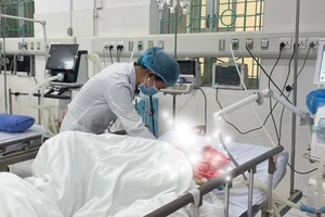 2 người bị trâu, bò húc đa chấn thương