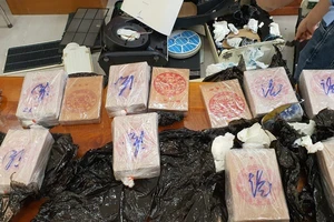 Triệt phá hàng loạt đường dây ma tuý quy mô lớn, xuyên quốc gia