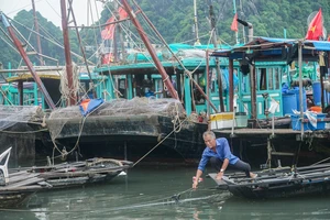 Nơi mở rộng vòng tay đón tàu thuyền mỗi khi biển 'thét gào'