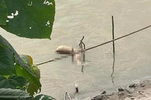 Công an Hà Nội thông tin về vụ giết người phân xác ở sông Hồng