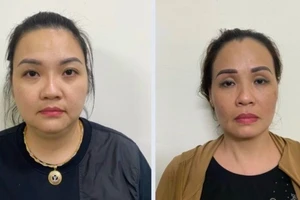 Khởi tố hai chị em môi giới đẻ thuê giá 1,5 tỉ đồng nếu sinh đôi
