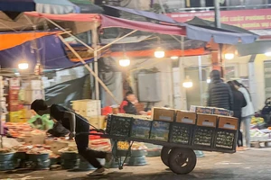 Người lao động mưu sinh trong đêm đông giá lạnh ở Hà Nội