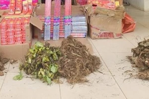 Thu giữ 40 kg củ sâm lậu từ Trung Quốc chuẩn bị ‘phù phép’ thành sâm Lai Châu