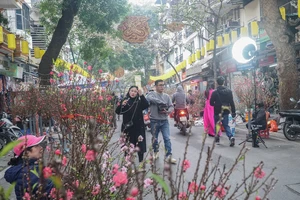 Hà Nội: Chợ hoa Hàng Lược nhộn nhịp ngày cuối năm