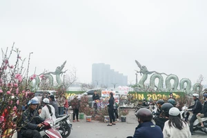 Chuyện ít biết về cặp rồng ở Hồ Tây