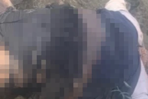 Phát hiện thi thể nữ giới đang phân hủy ở bờ sông Hồng