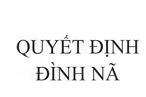 Đình nã đối với Giám đốc Công ty cổ phần giải pháp mạng và phân phối Máy Tính