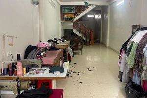 Nghi con tâm thần chém mẹ và cháu ruột trọng thương