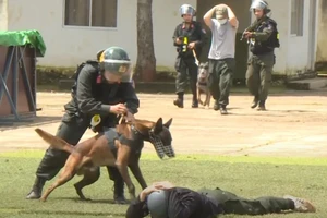 Phó Thủ tướng yêu cầu mở cao điểm tấn công tội phạm về ma túy 