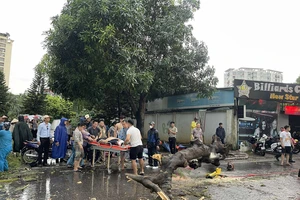 Cây ngã do cơn mưa lớn ở Hà Nội, 2 người thương vong