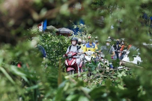 3 ngày sau khi bão số 3 đi qua, Hà Nội vẫn ngổn ngang cây xanh, cành lá trên vỉa hè, lòng đường