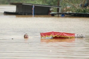 Chùm ảnh: Nước sông Hồng lên cao, người dân vùng thấp ở Hà Nội ngụp lặn cứu tài sản