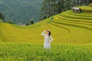 Du khách mải mê check-in với ‘bức tranh mùa vàng’ ở Mù Cang Chải