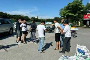 Bắt giữ gần 52.000 người phạm tội về ma túy trong năm 2024