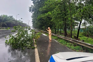 CSGT xử lý cây đổ sau mưa giông trên Đại lộ Thăng Long